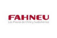 fahneu-cliente-1